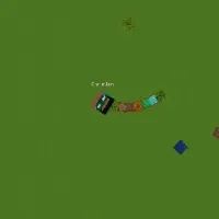 Slither Craft.io