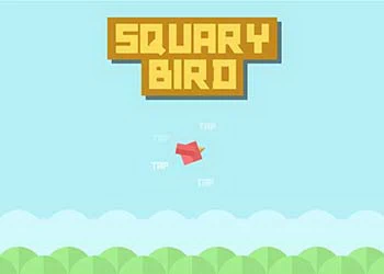 Squary Bird